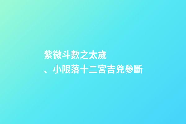 紫微斗數之太歲、小限落十二宮吉兇參斷